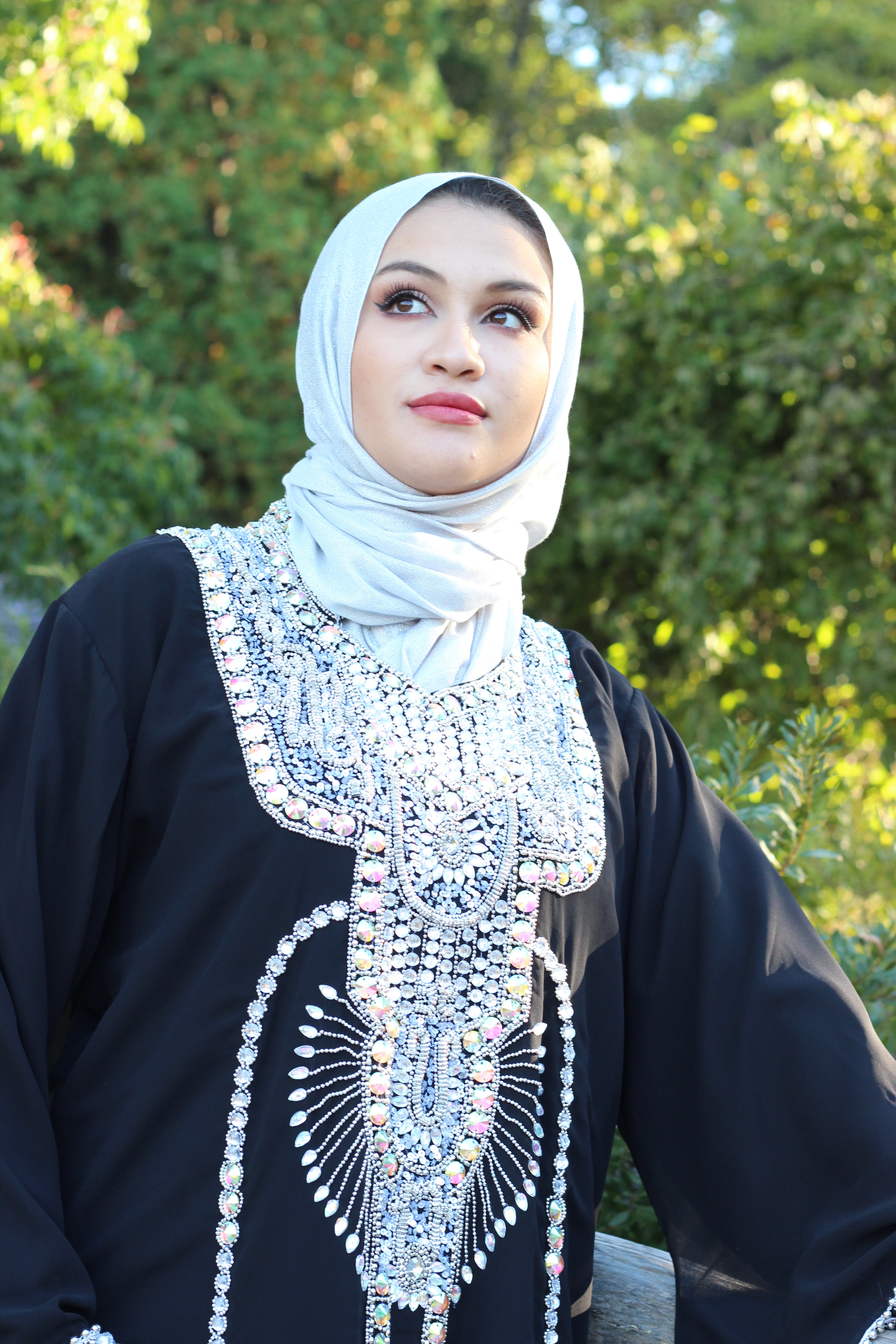 Zoya Fancy Abaya/Dress